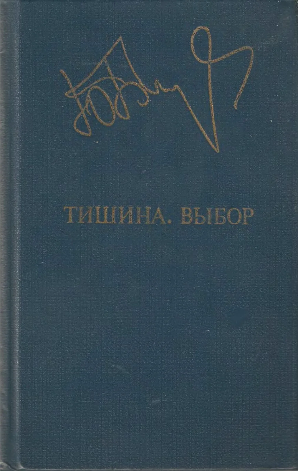 Обложка Тишина. Выбор