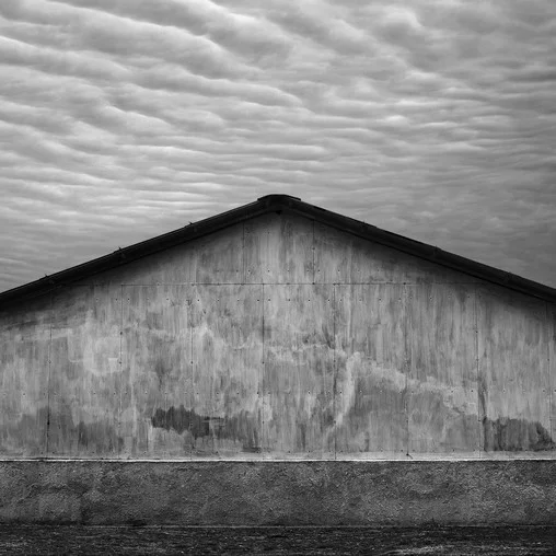 Обложка Перепелка