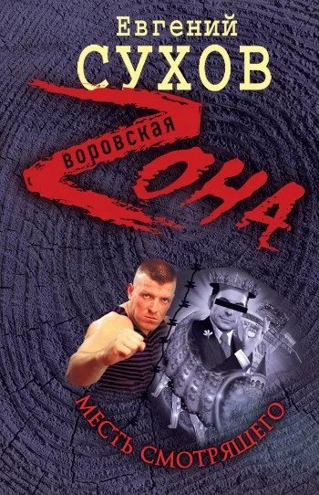 Обложка Месть смотрящего