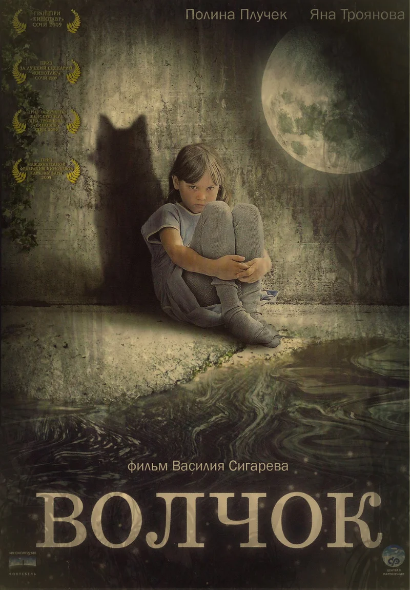 Обложка Волчок