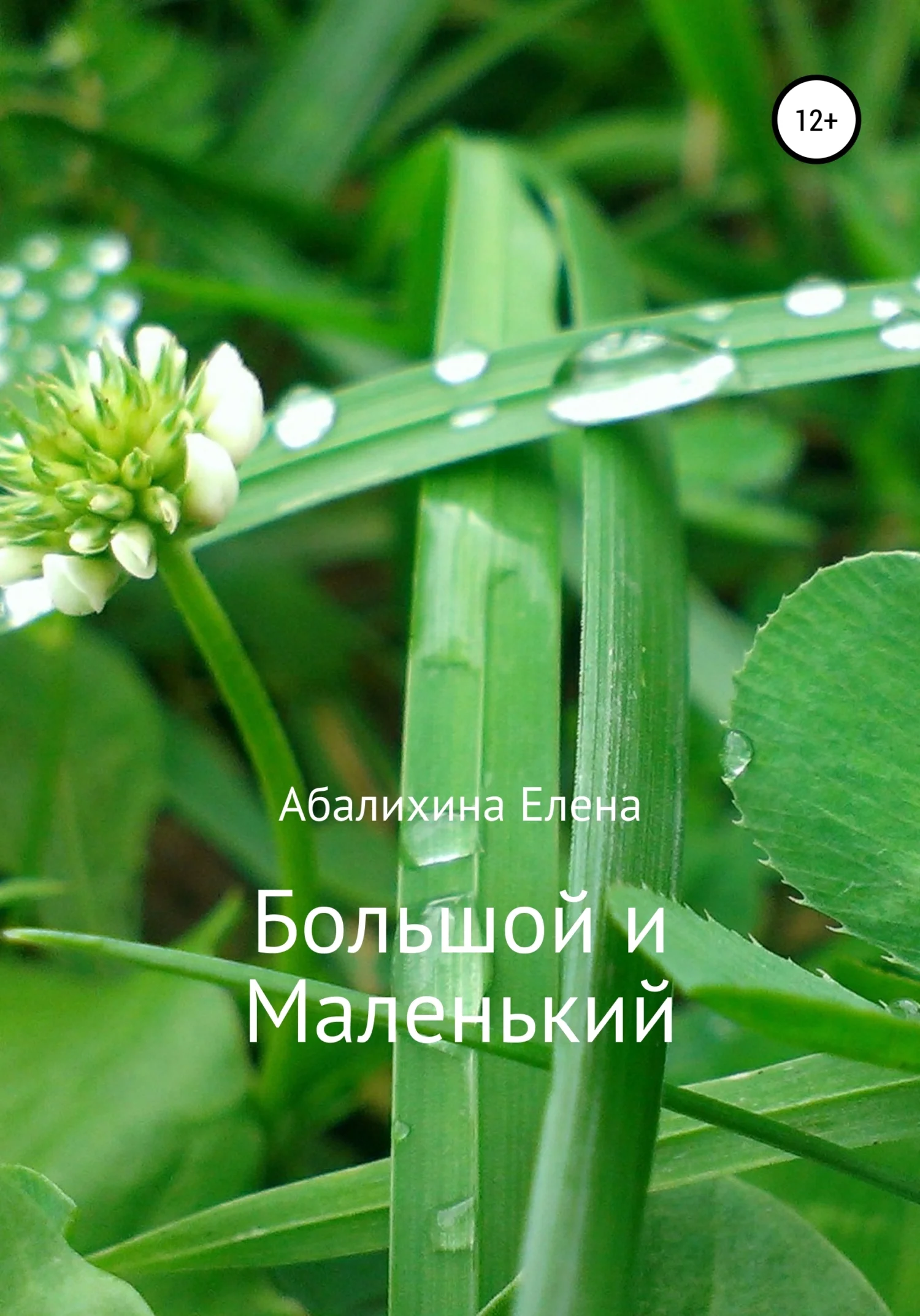 Обложка Большой и маленький