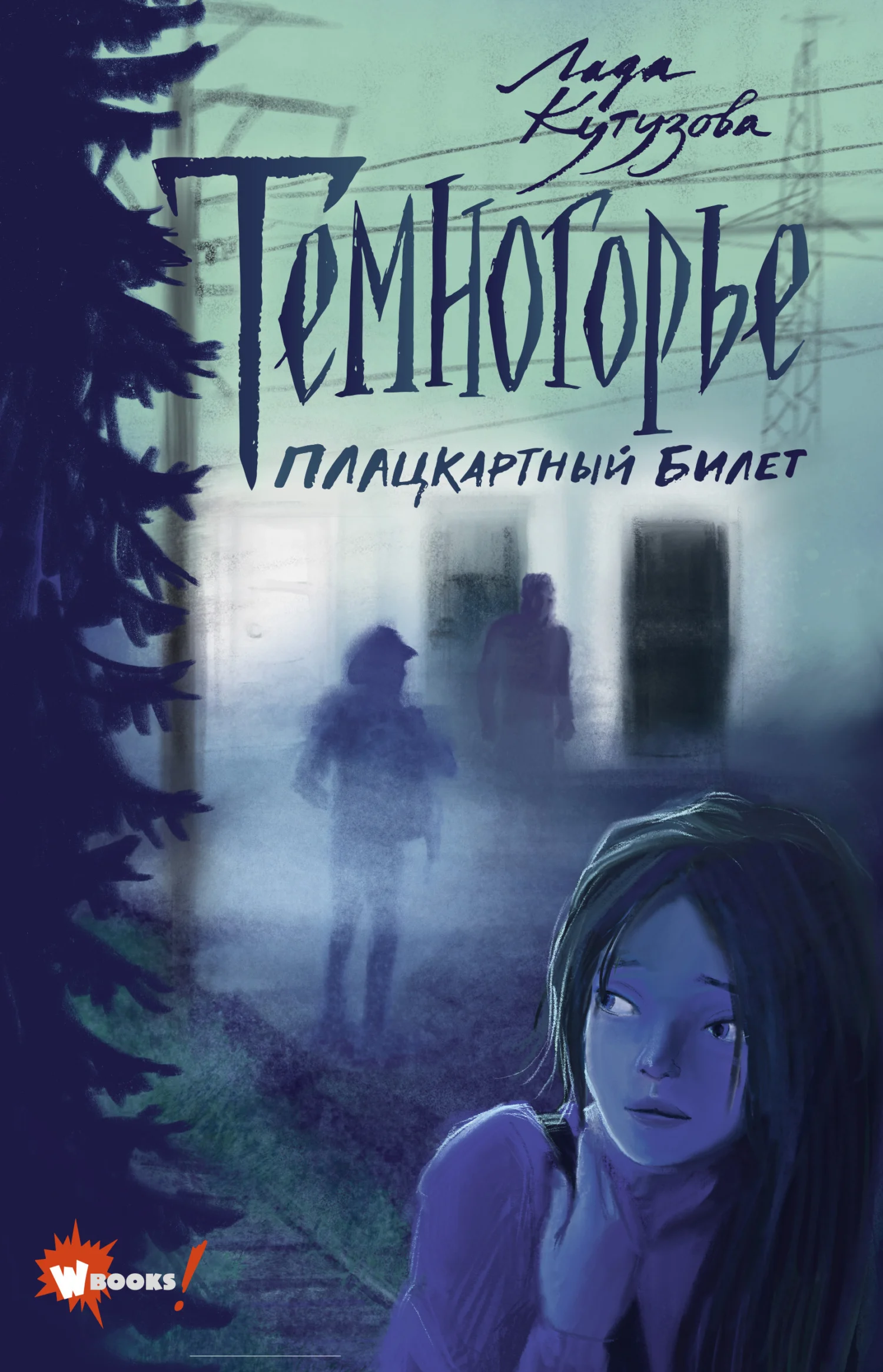 Обложка Плацкартный билет