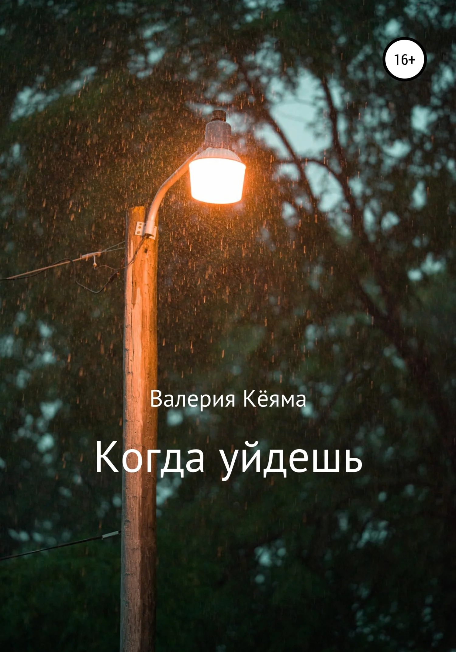 Обложка Когда уйдешь