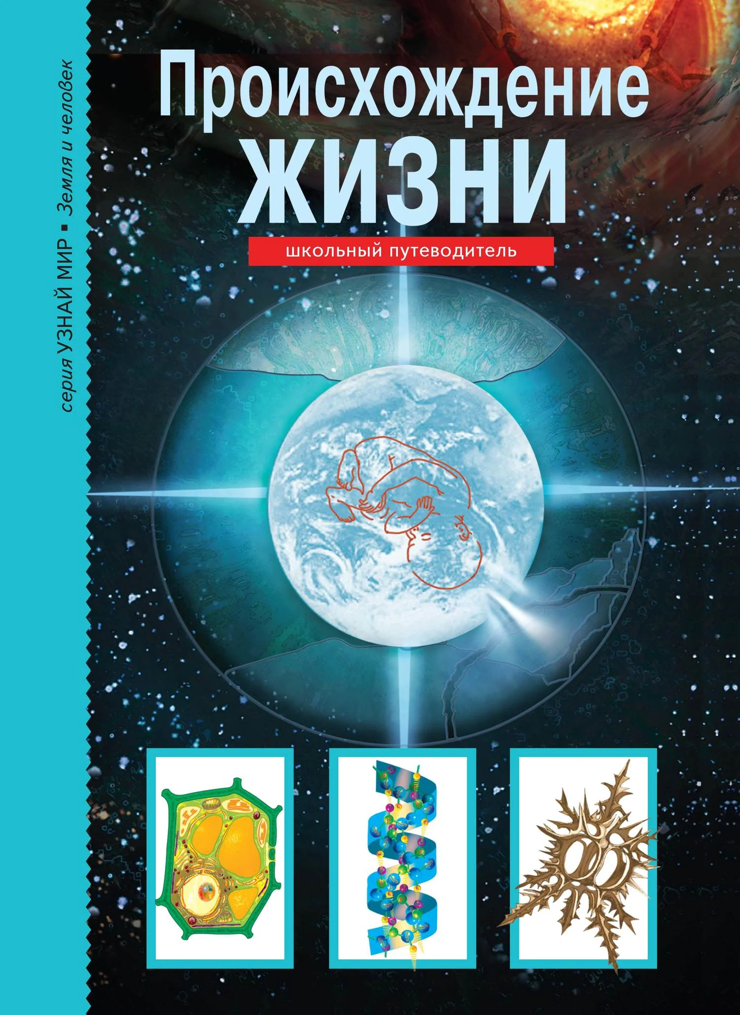 Обложка Происхождение жизни