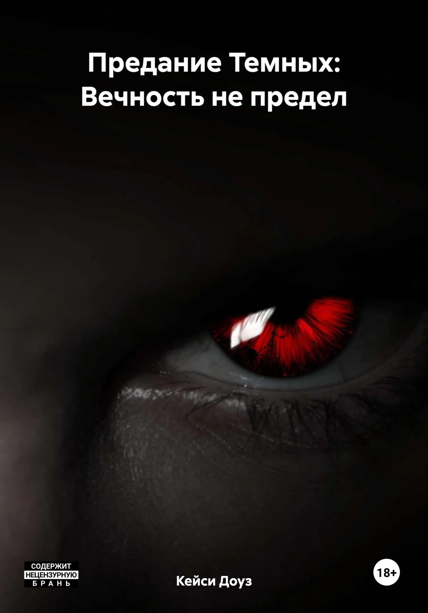 Обложка Вечность не предел