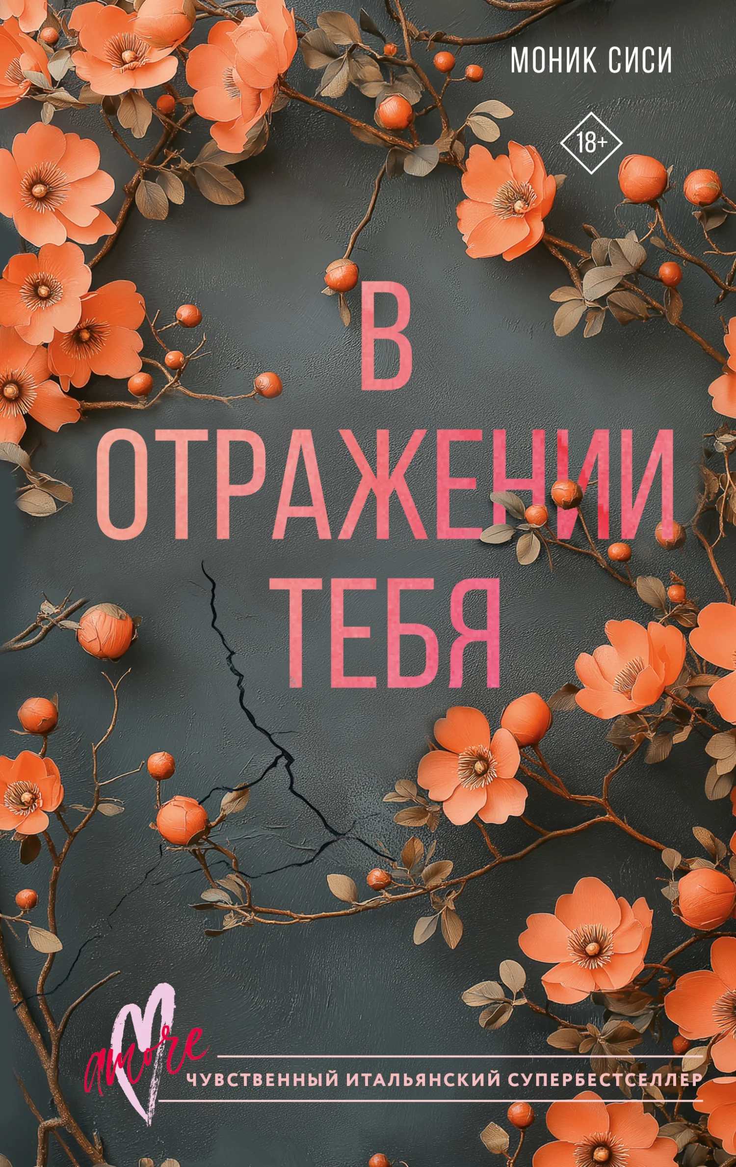 Обложка В отражении тебя