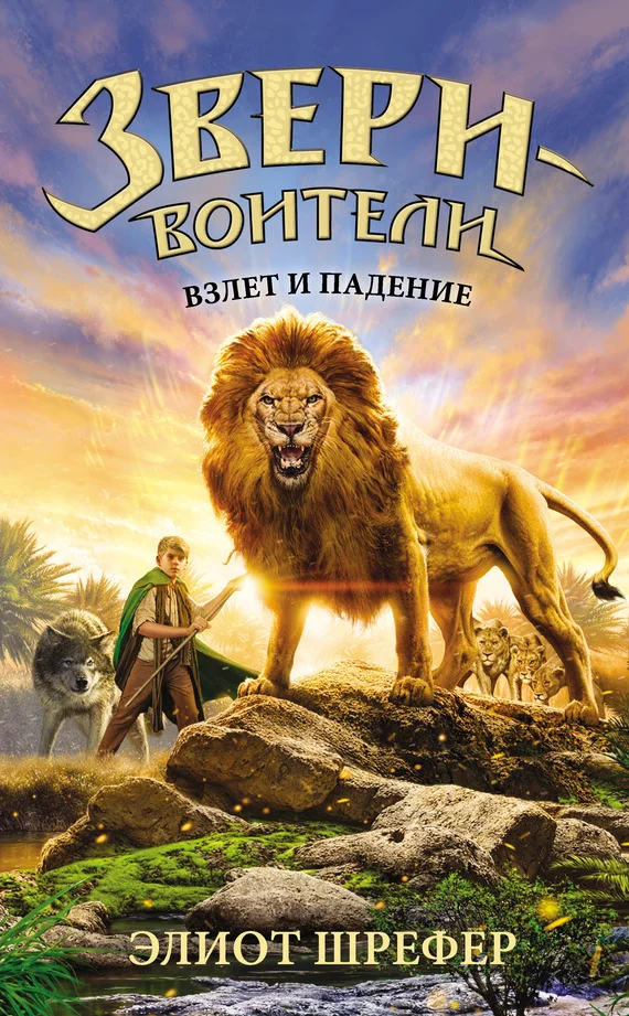 Обложка Взлет и падение