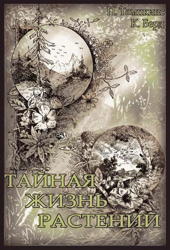 Обложка Тайная жизнь растений