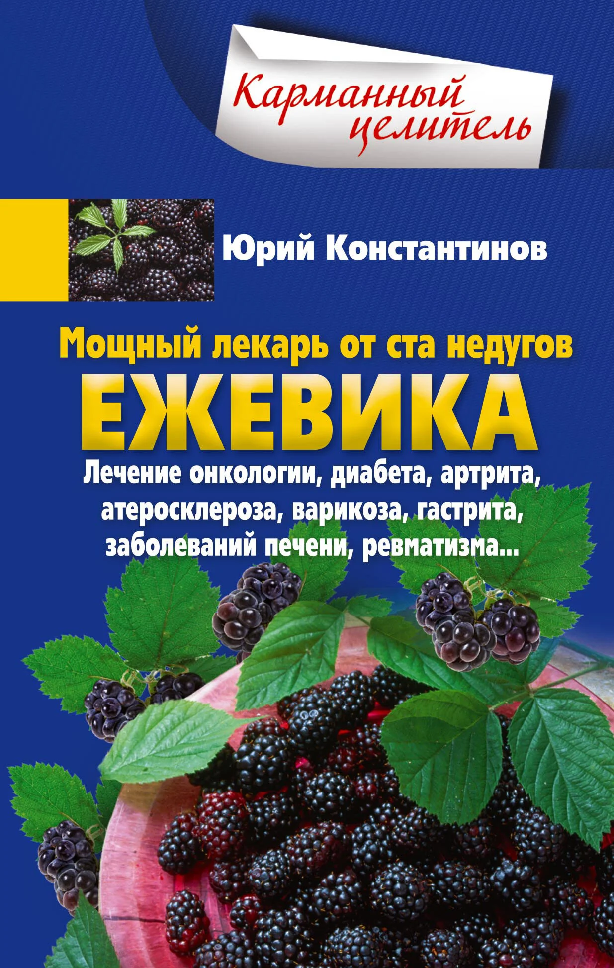Обложка Мощный лекарь от ста недугов. Ежевика. Лечение онкологии, диабета, артрита, атеросклероза, варикоза, гастрита, заболеваний печени, ревматизма…