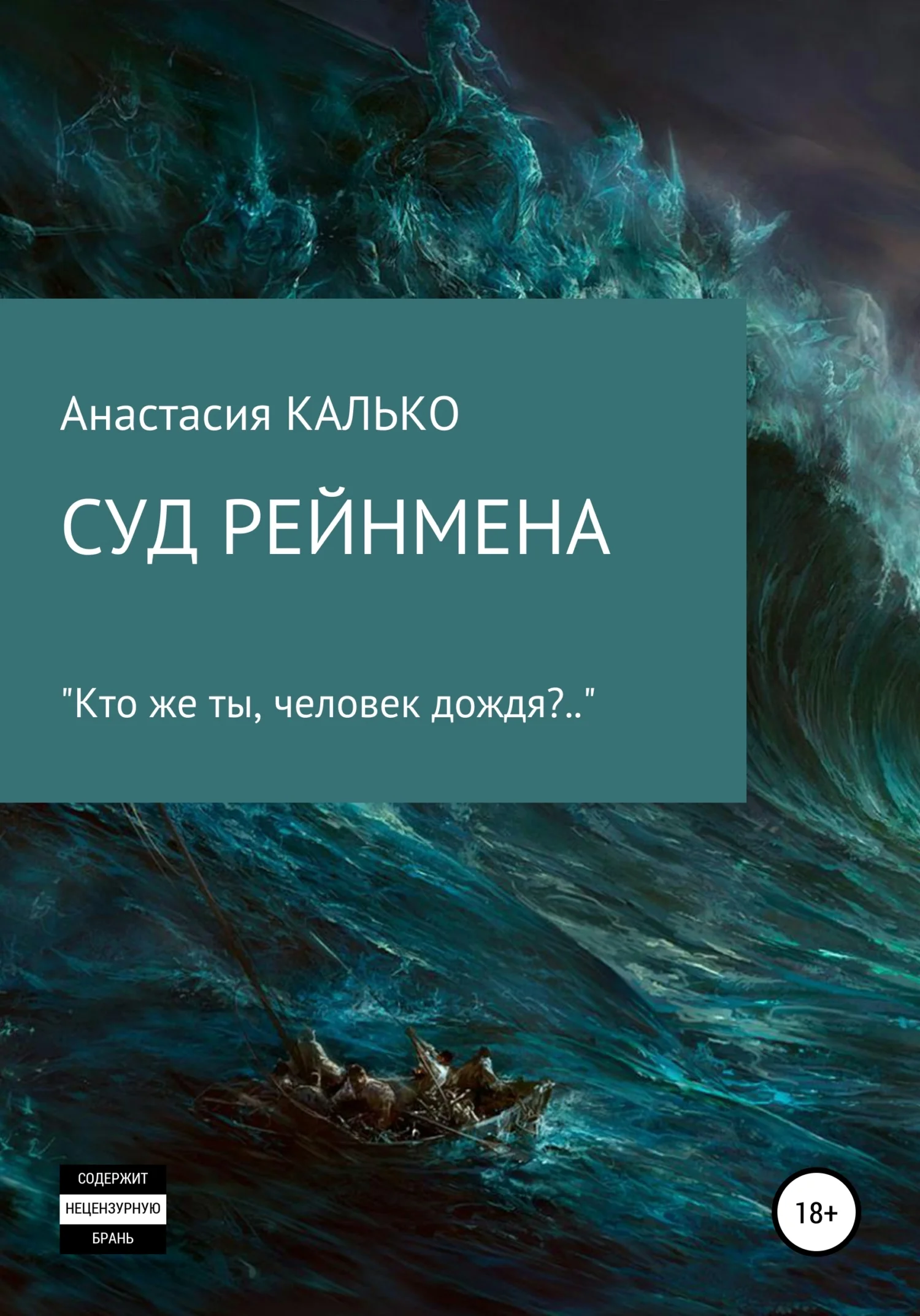 Обложка Суд Рейнмена