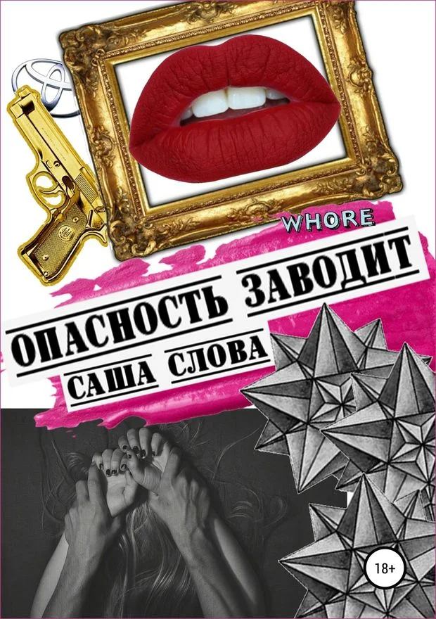 Обложка Опасность заводит