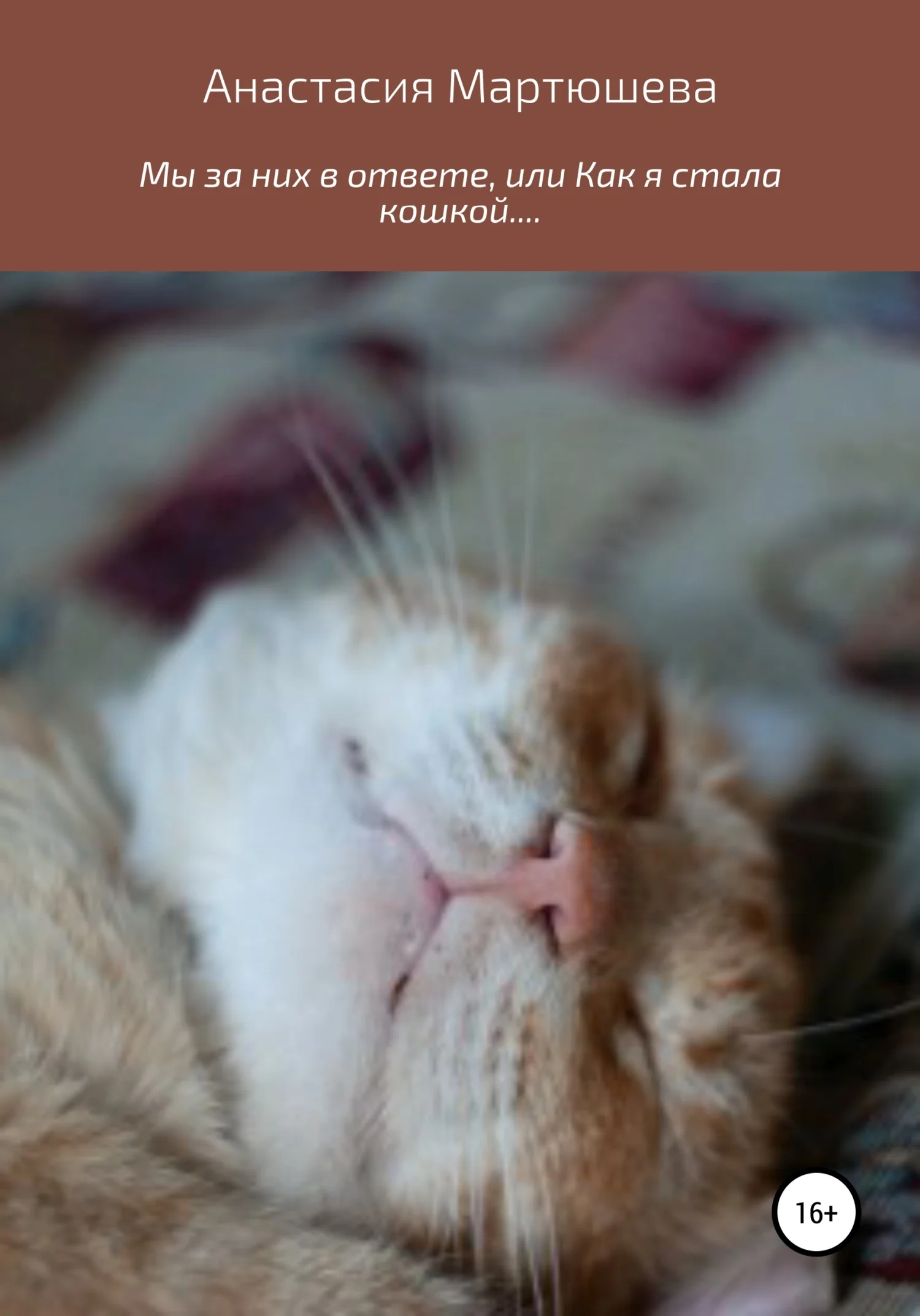 Обложка Мы за них в ответе, или Как я стала кошкой…