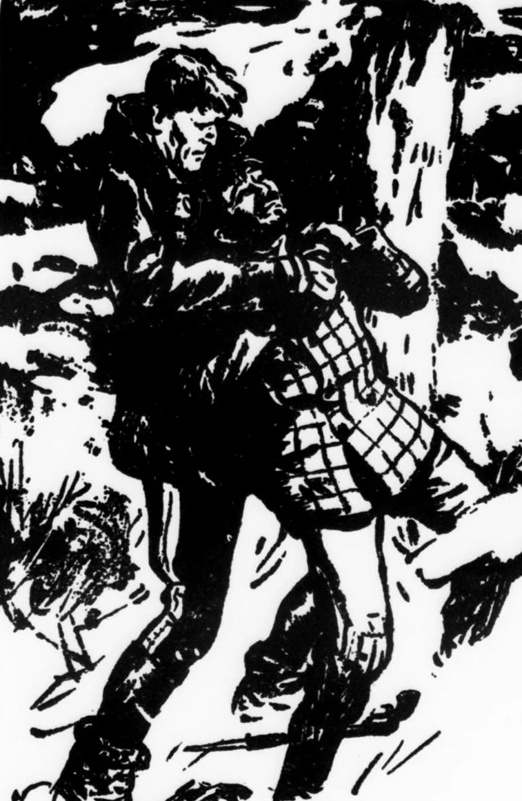 Обложка Снежные фокусы