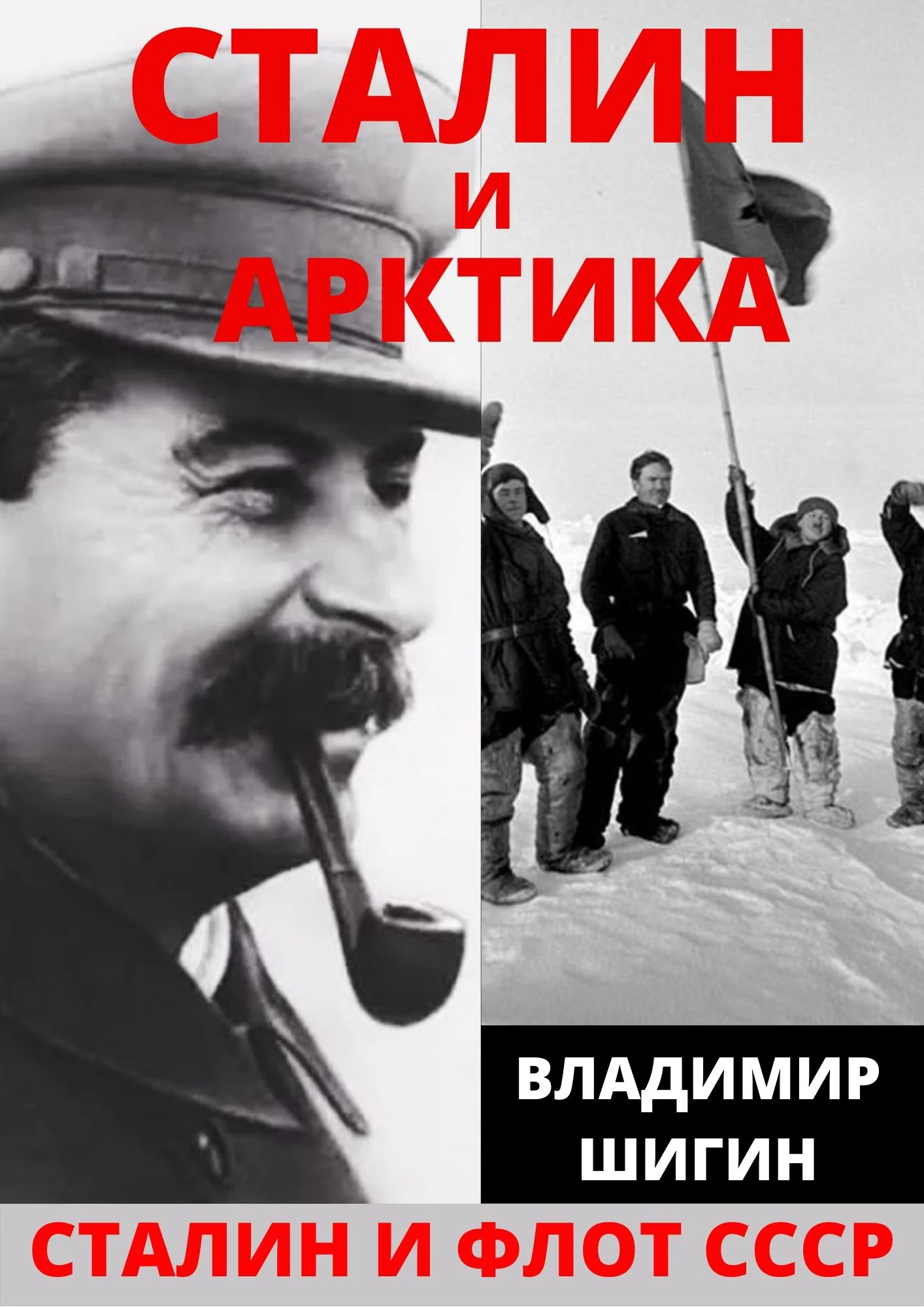 Обложка Сталин и Арктика