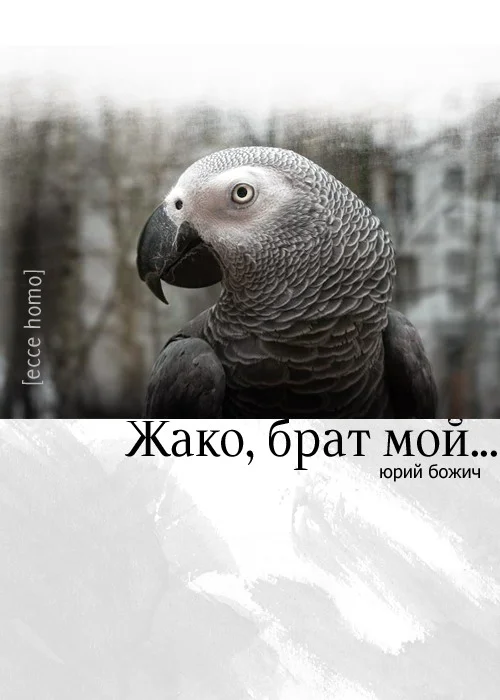 Обложка Жако, брат мой...