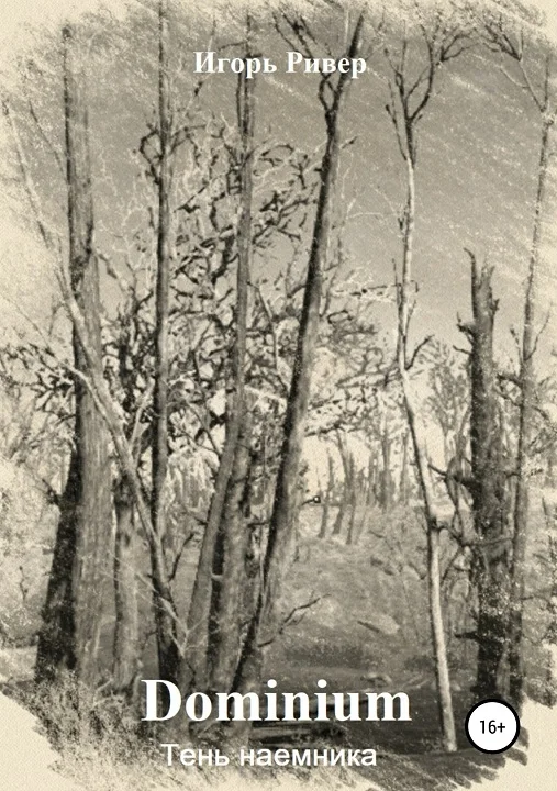 Обложка Тень наемника