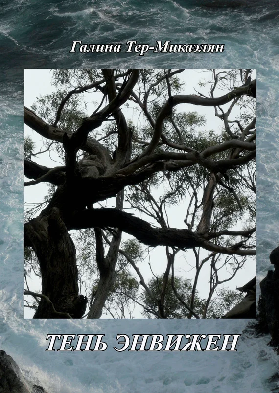 Обложка Тень Энвижен