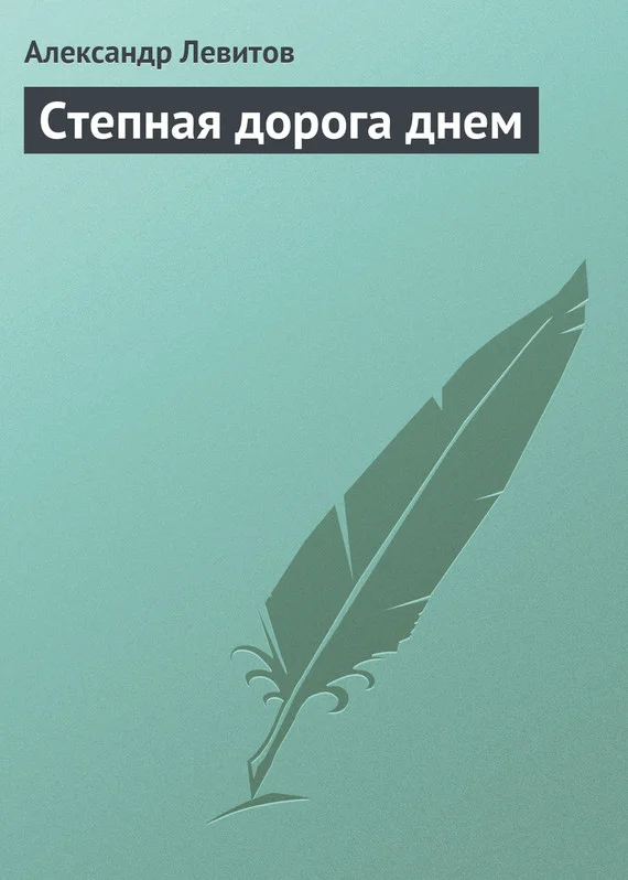 Обложка Степная дорога днем