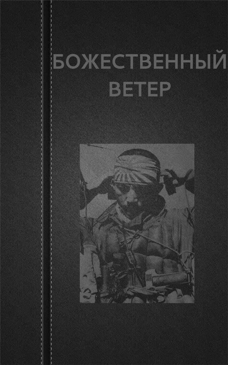 Обложка Божественный ветер
