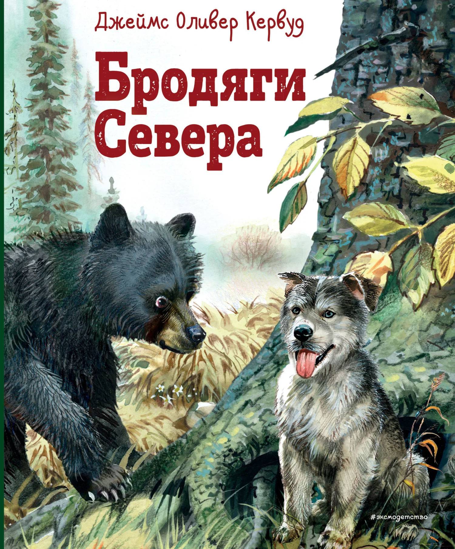 Обложка Бродяги Севера