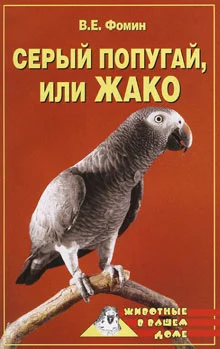 Обложка Серый попугай жако