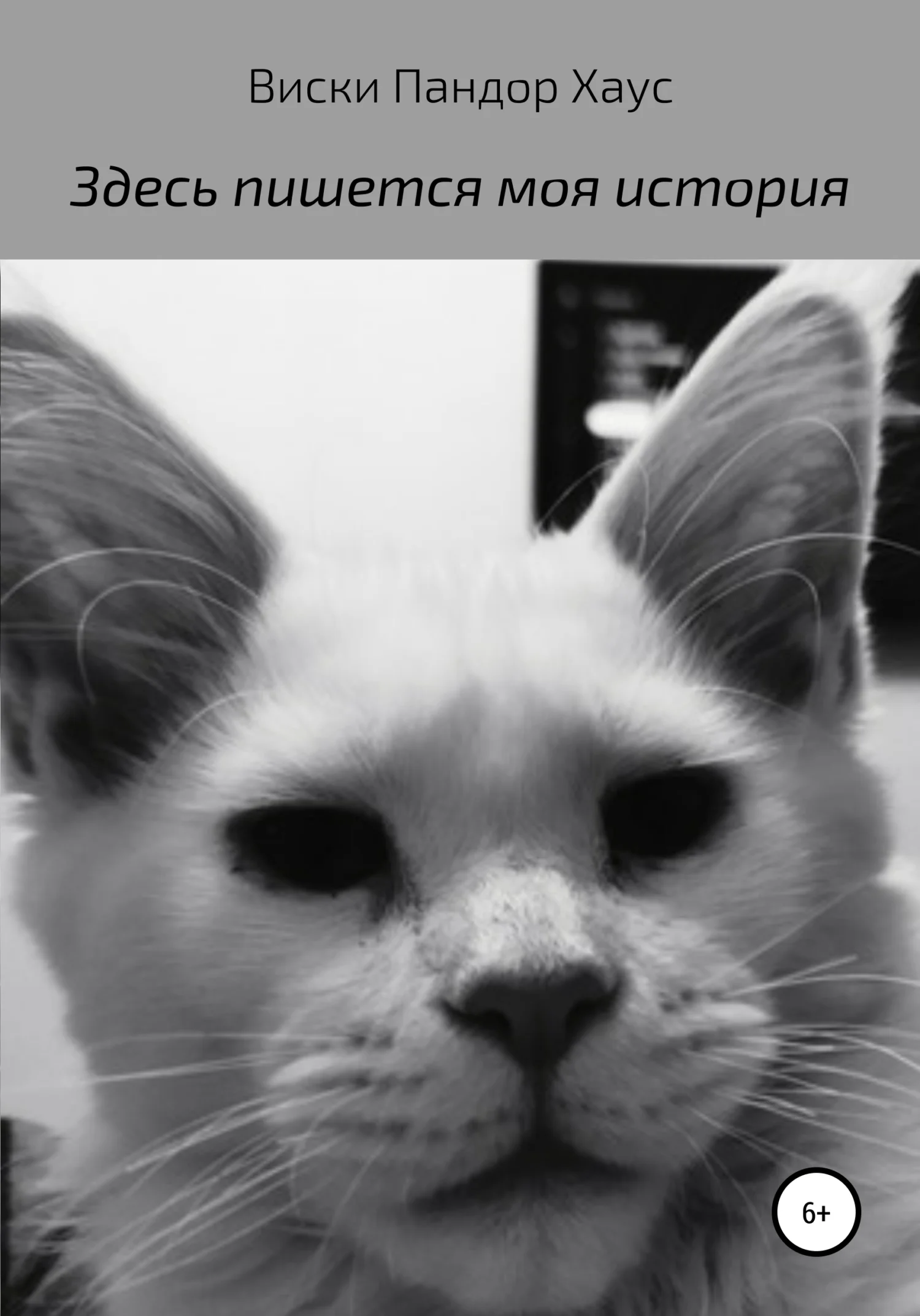 Обложка Здесь пишется моя история