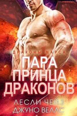 Обложка Пара принца драконов