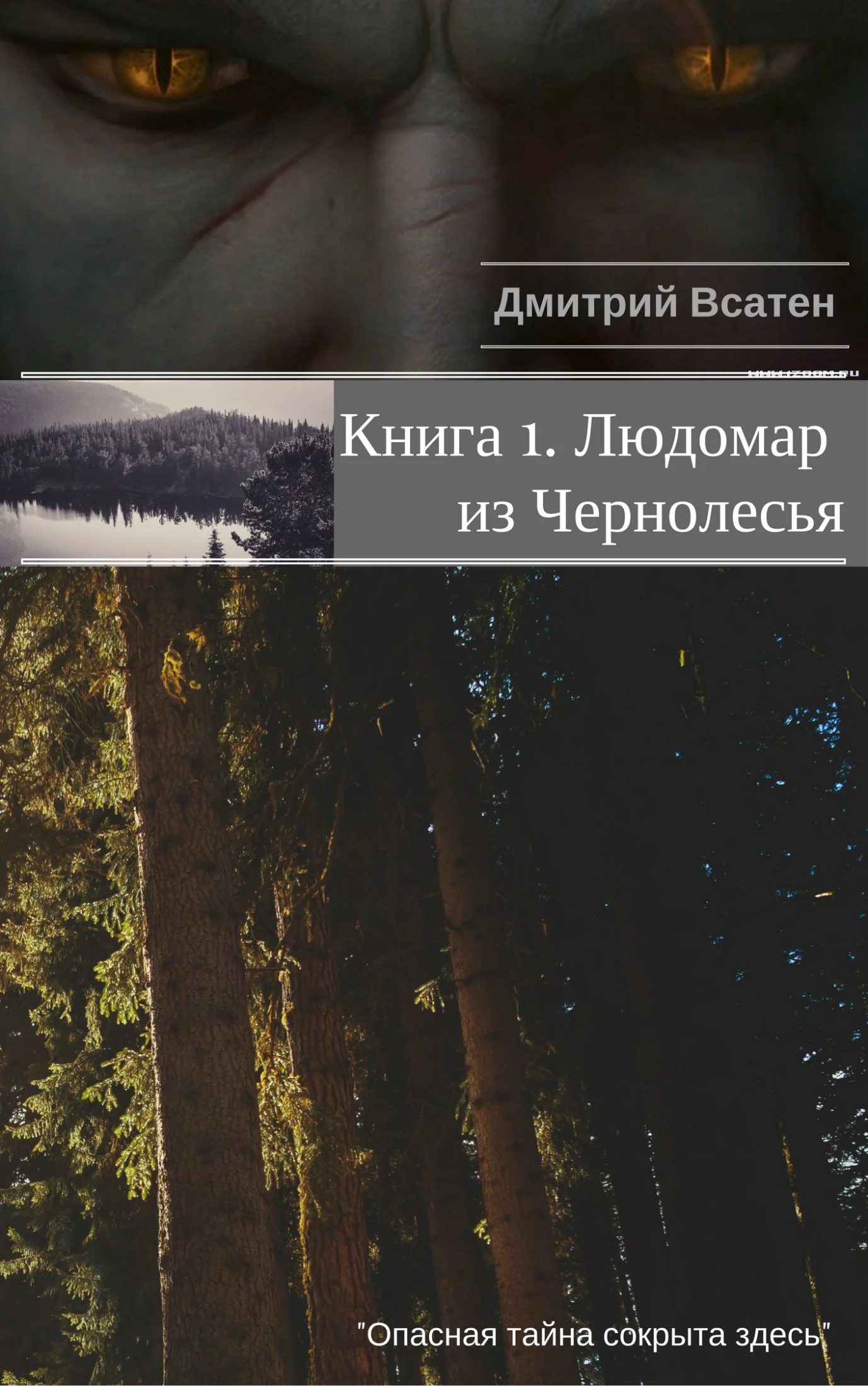 Обложка Книга 1. Людомар из Чернолесья