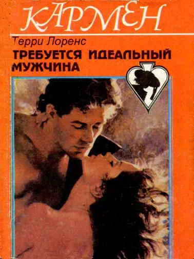 Обложка Требуется идеальный мужчина