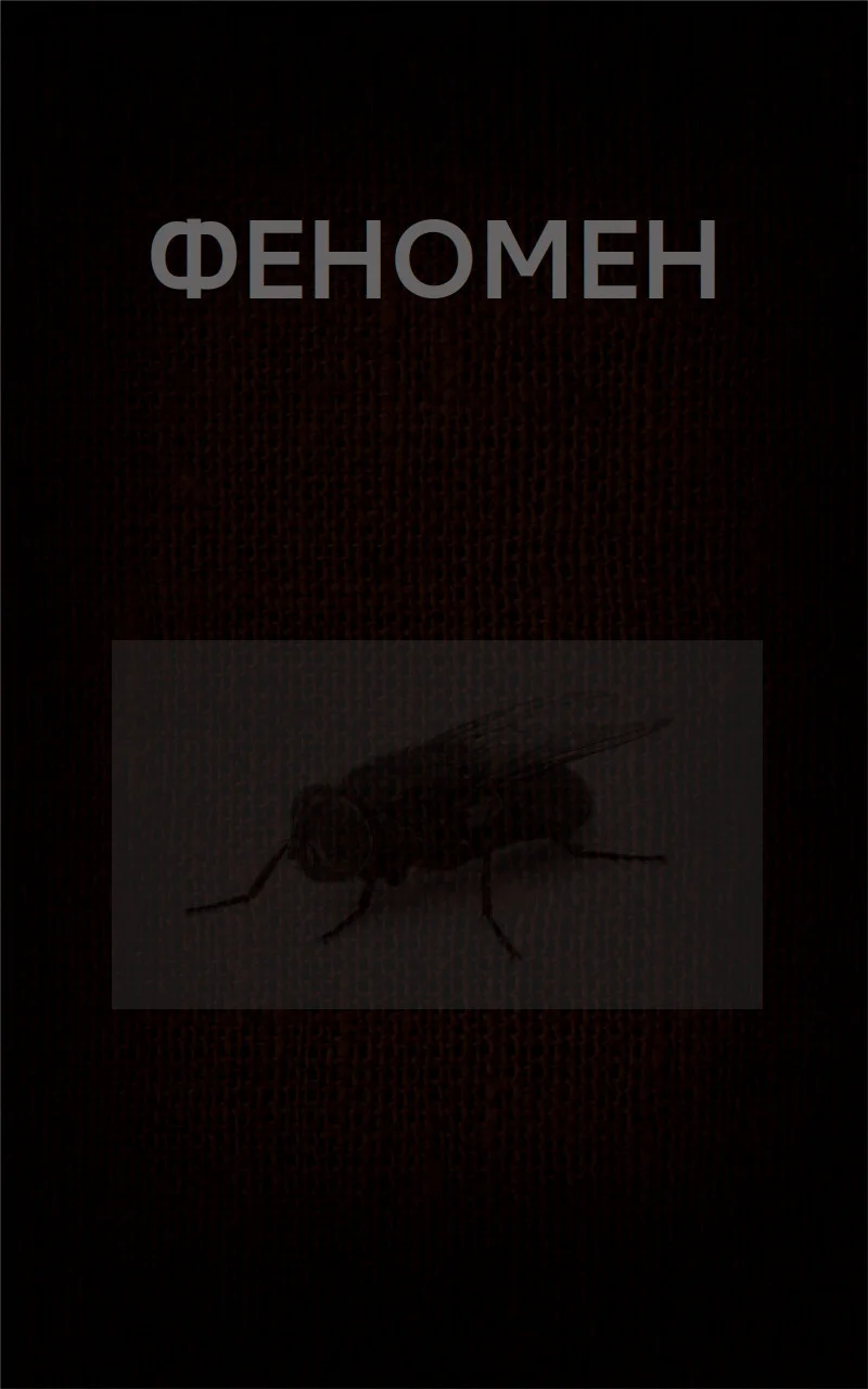 Обложка Феномен