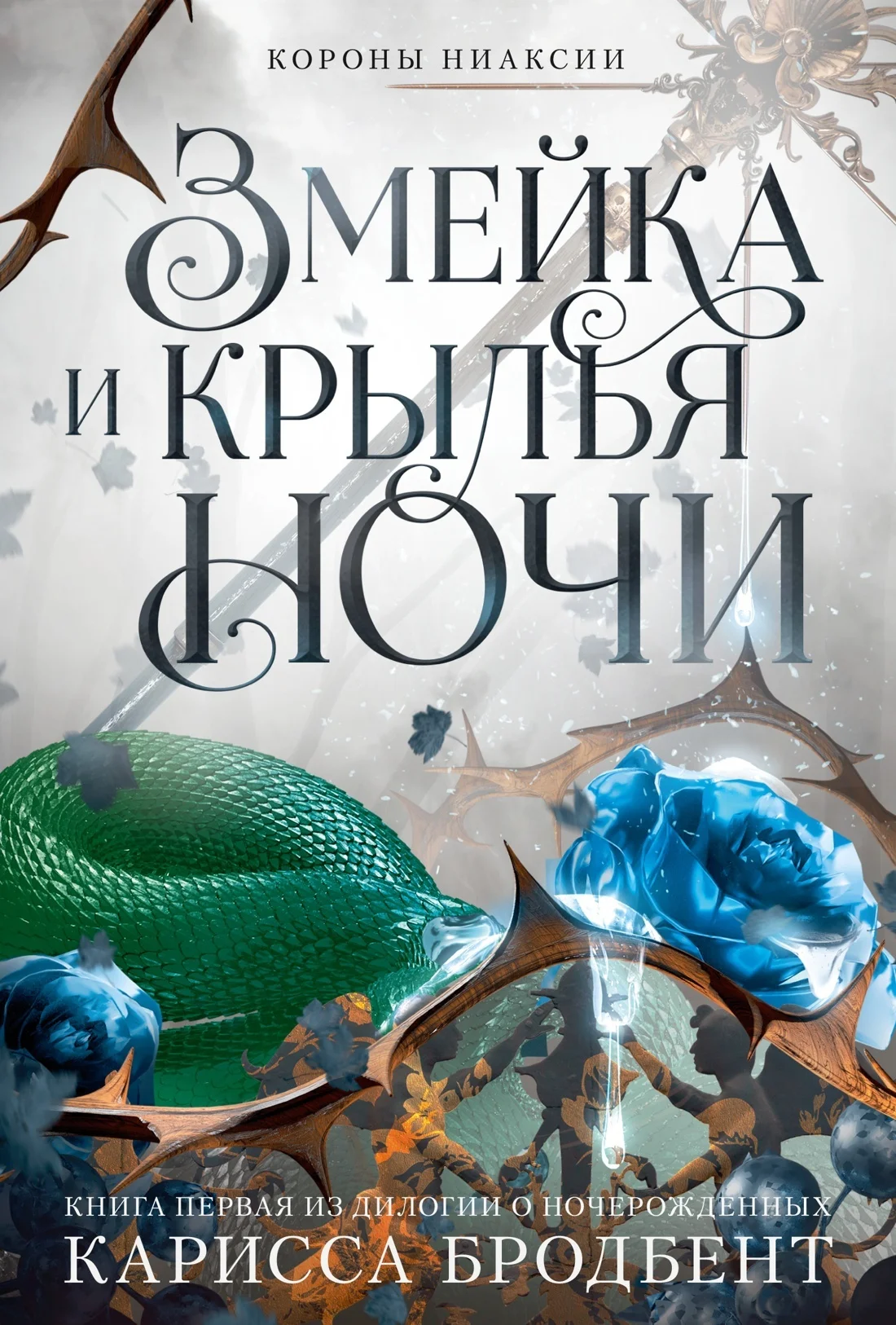 Обложка Змейка и крылья ночи
