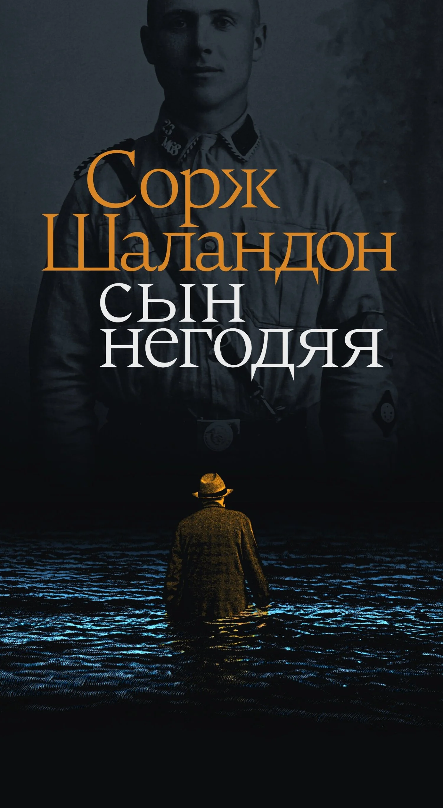 Обложка Сын негодяя