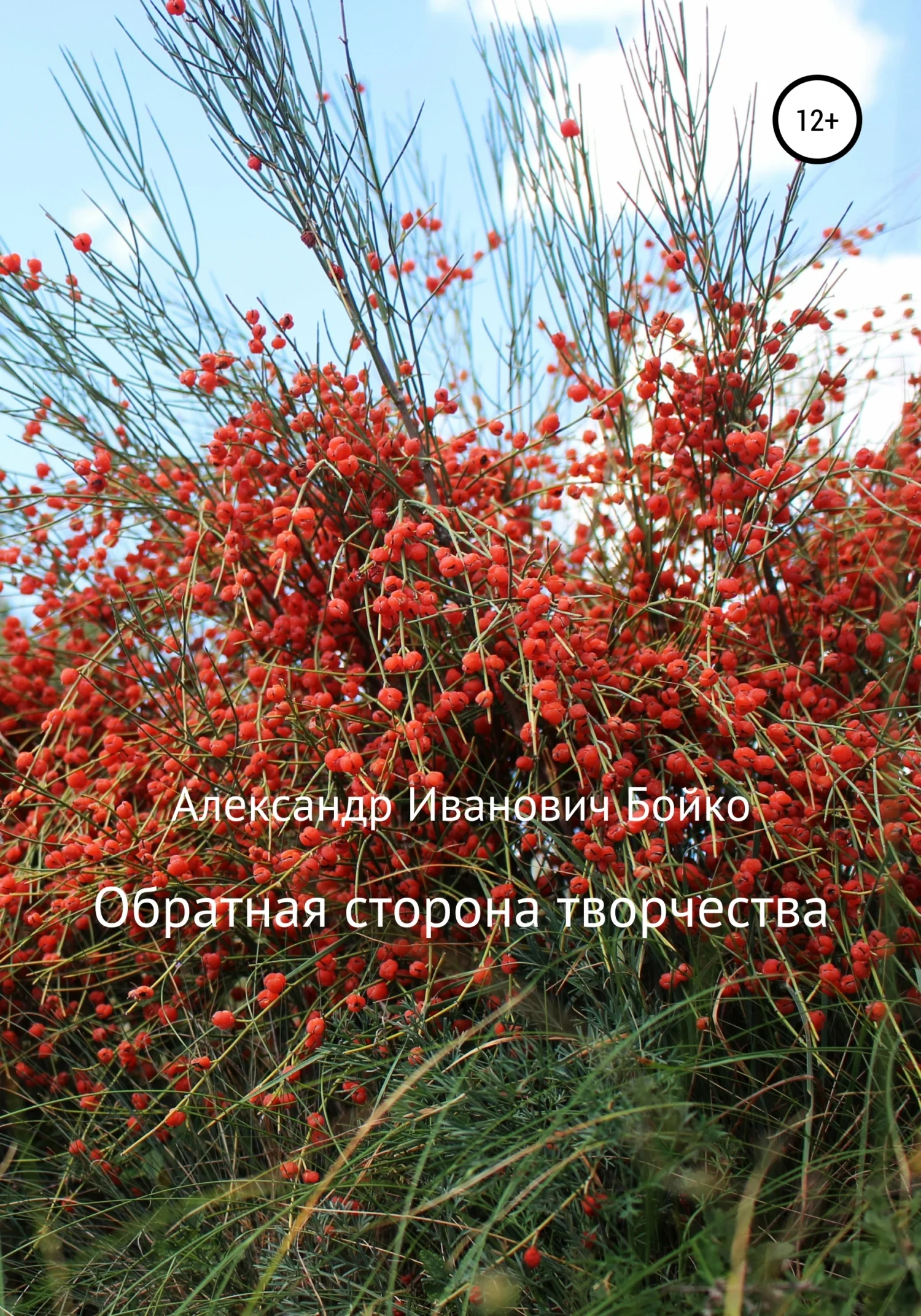 Обложка Обратная сторона творчества