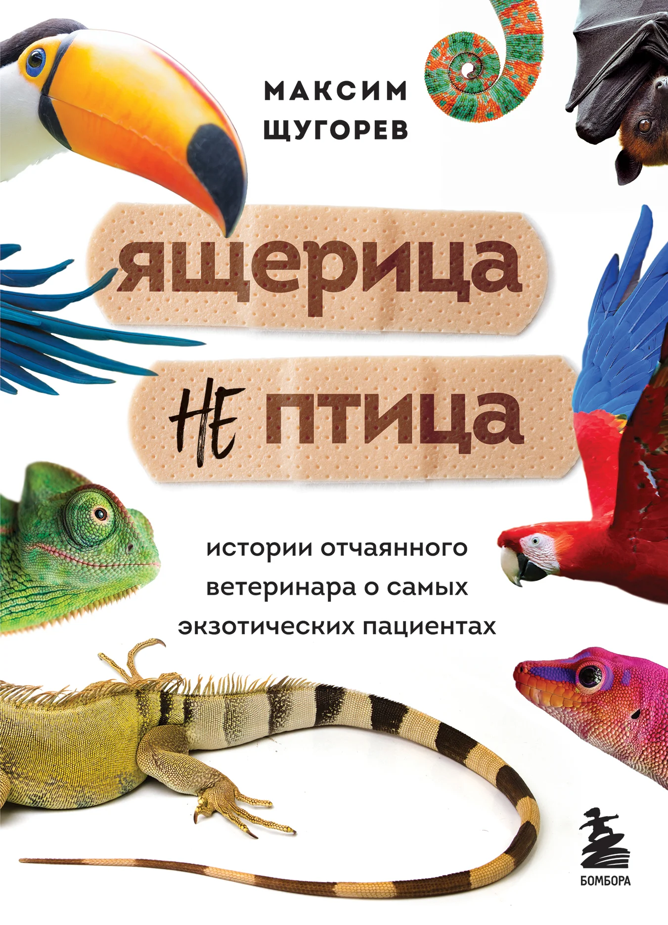 Обложка Ящерица не птица. Истории отчаянного ветеринара о самых экзотических пациентах
