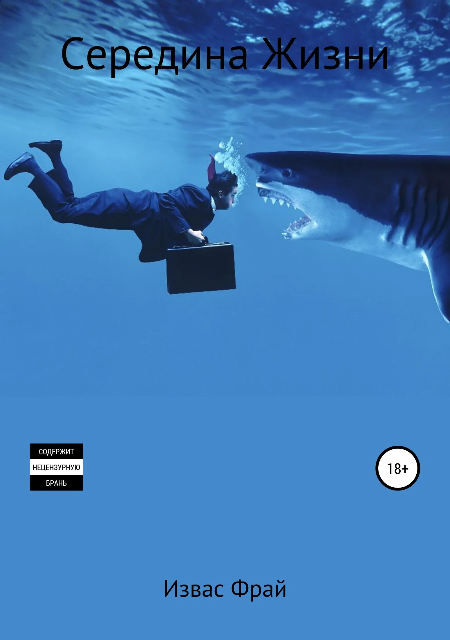 Обложка Середина Жизни