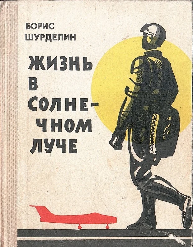Обложка Жизнь в солнечном луче