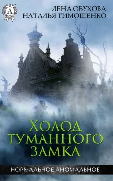 Обложка Холод туманного замка