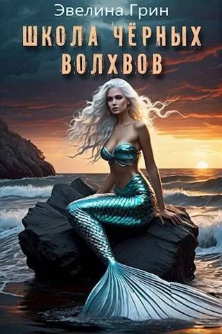 Обложка Школа черных волхвов