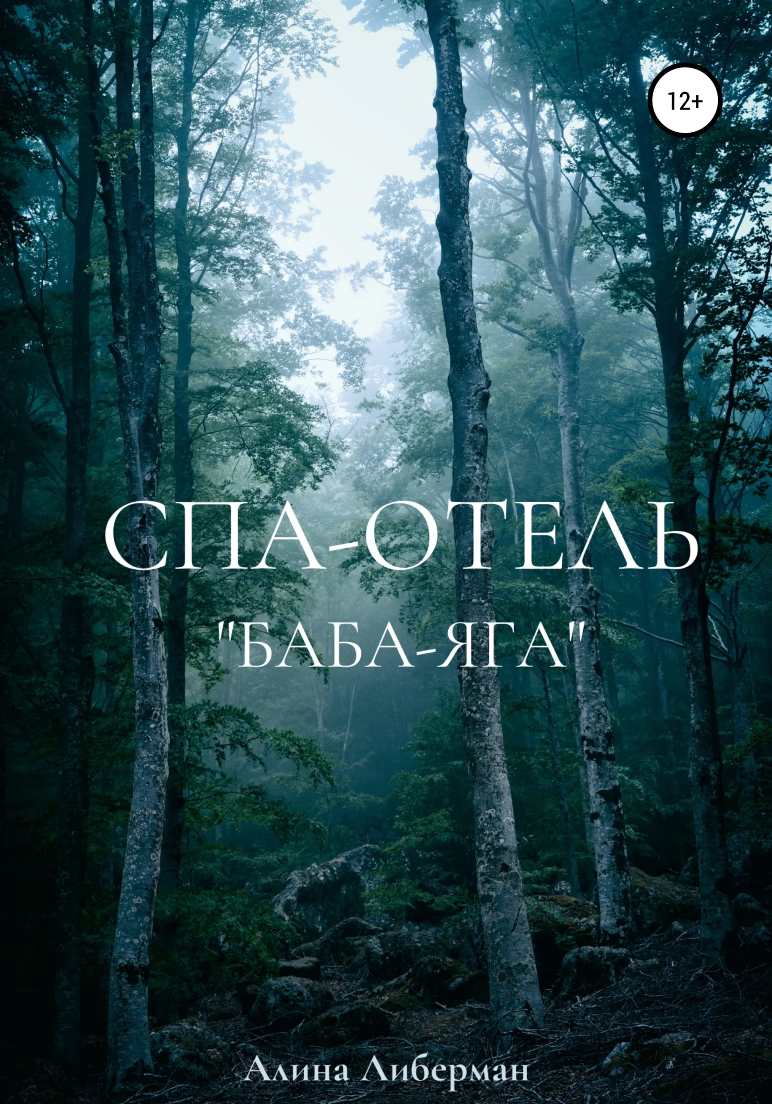 Обложка Спа-отель «Баба-Яга»
