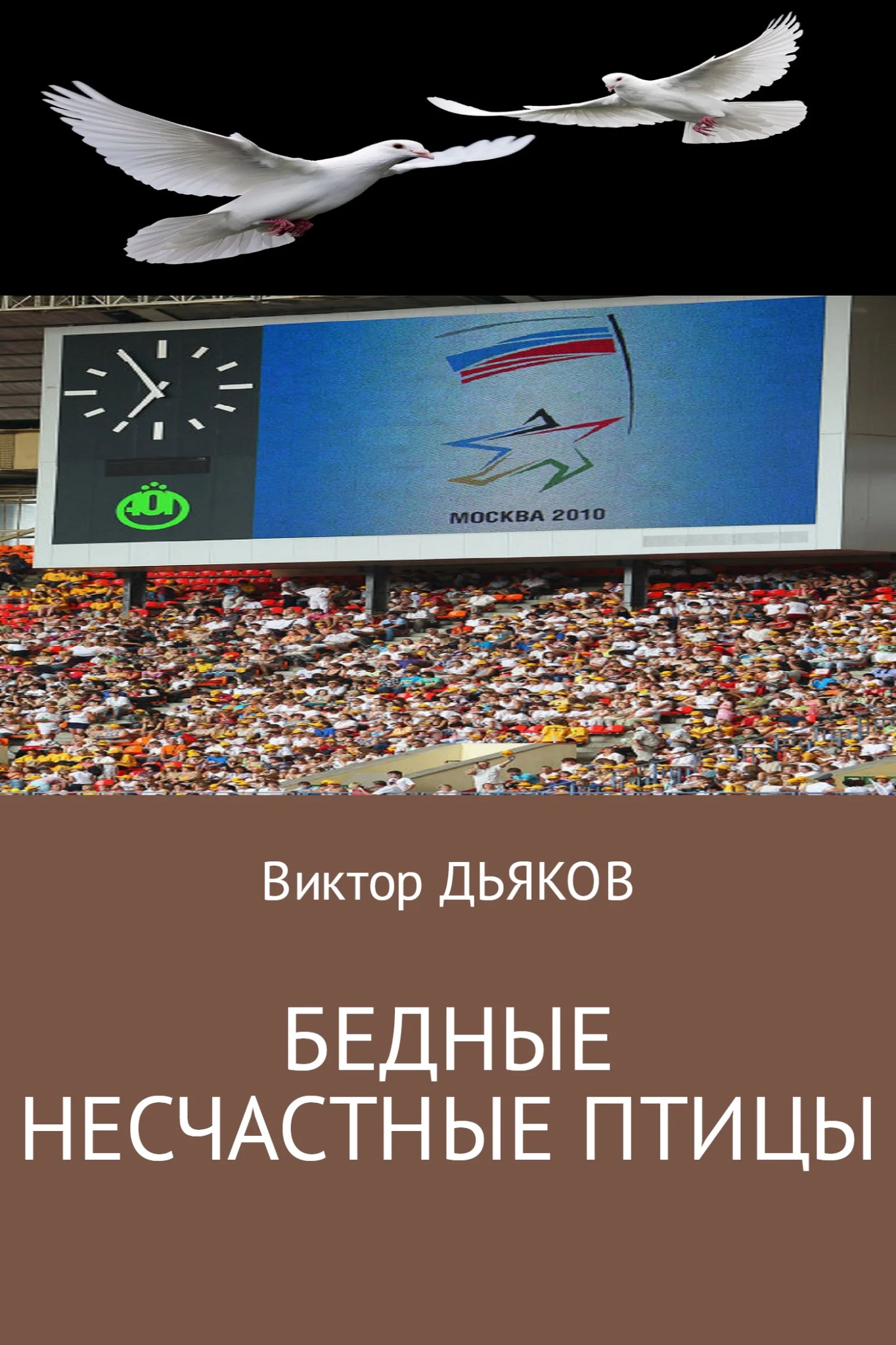 Обложка Бедные несчастные птицы