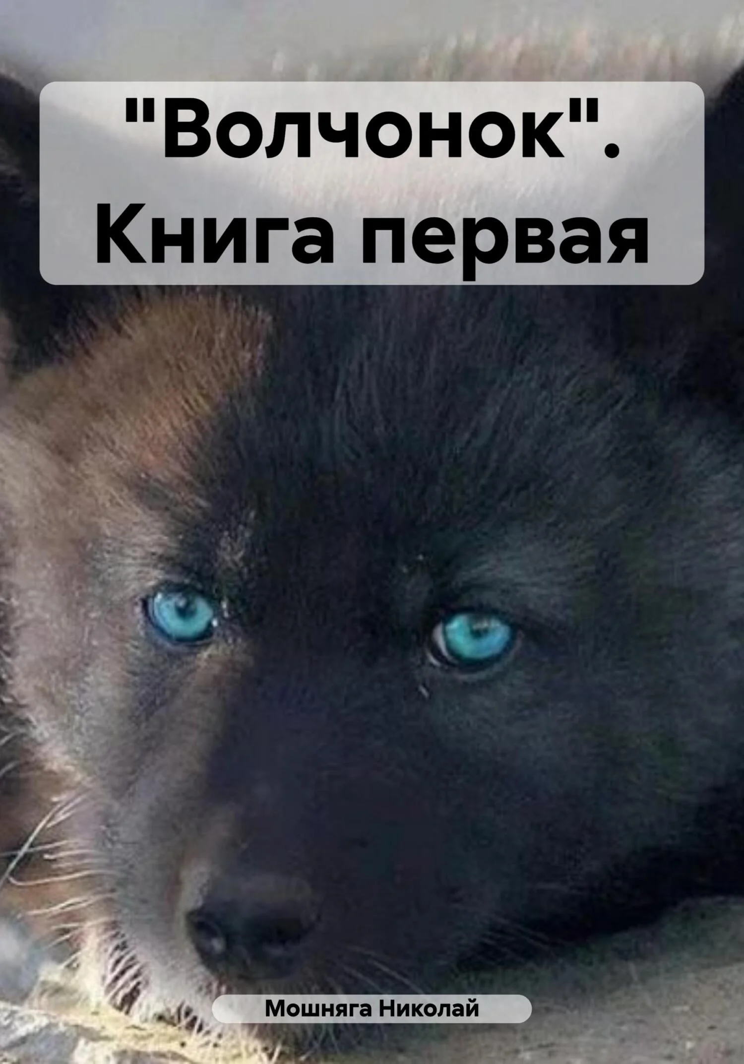 Обложка «Волчонок». Книга первая