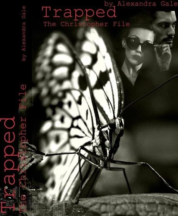 Обложка Дело Кристофера