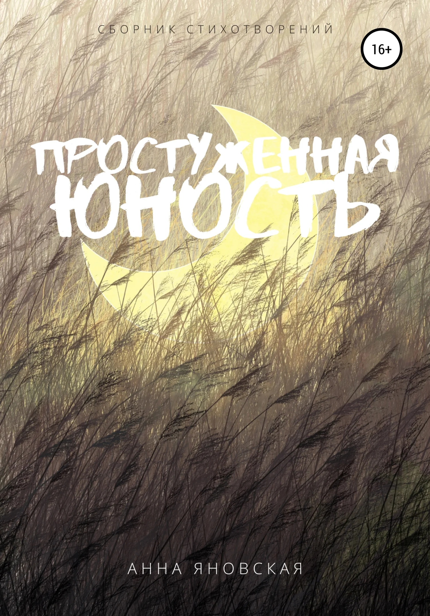 Обложка Простуженная юность