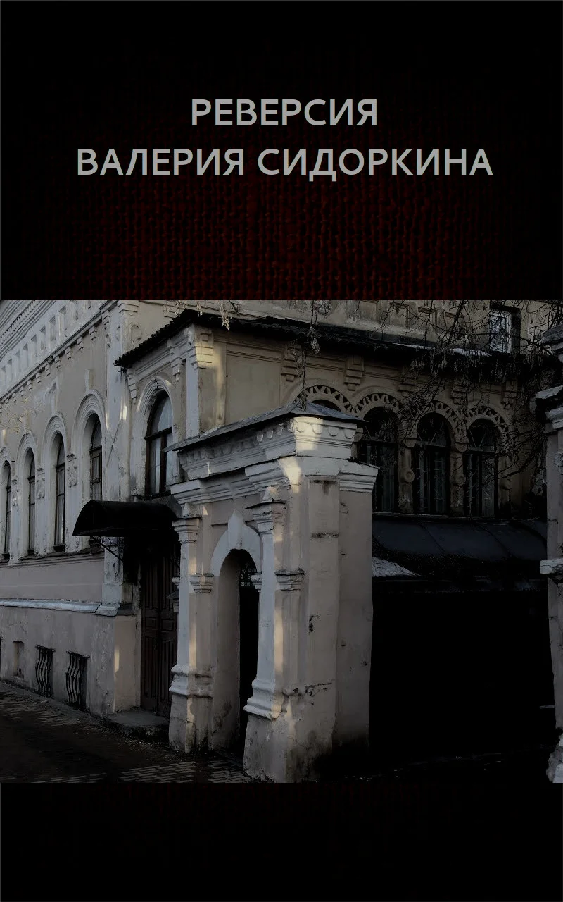 Обложка Реверсия Валерия Сидоркина