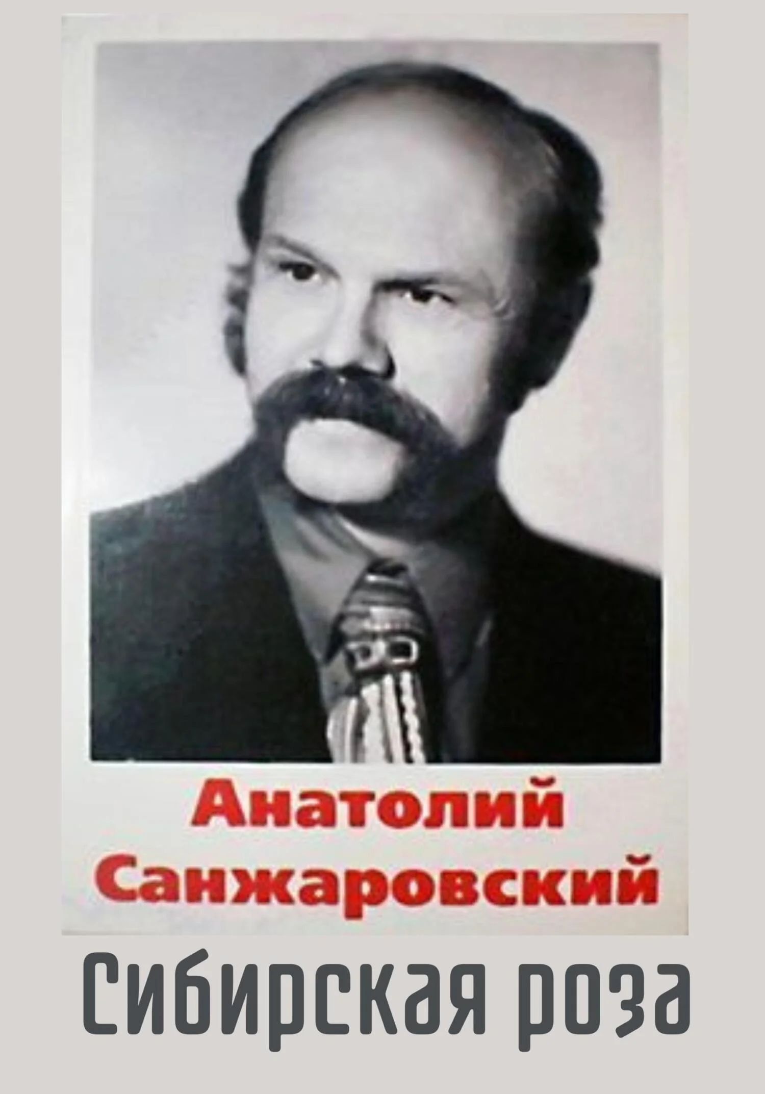 Обложка Сибирская роза