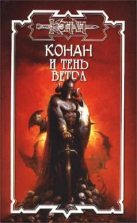 Обложка Тень ветра