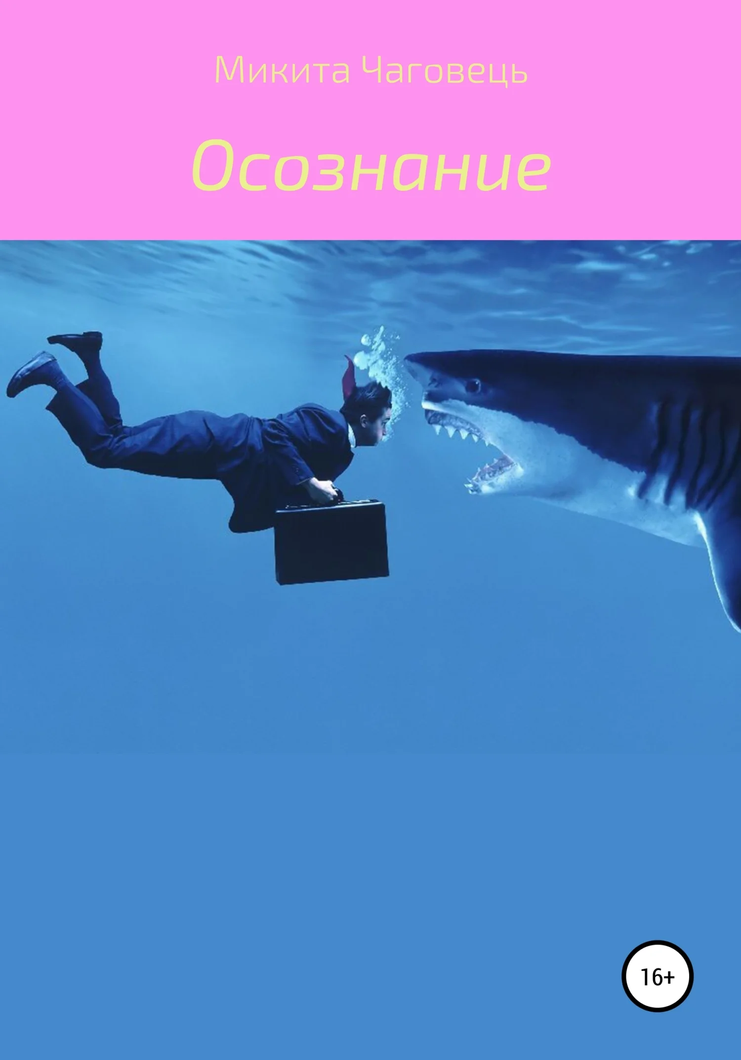 Обложка Осознание