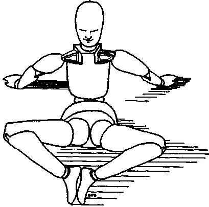 Обложка Сознавание через движение: двенадцать практических уроков