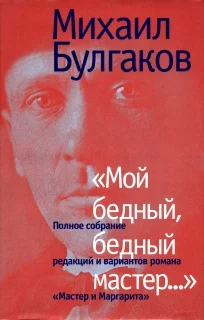 Обложка «Мой бедный, бедный мастер…»