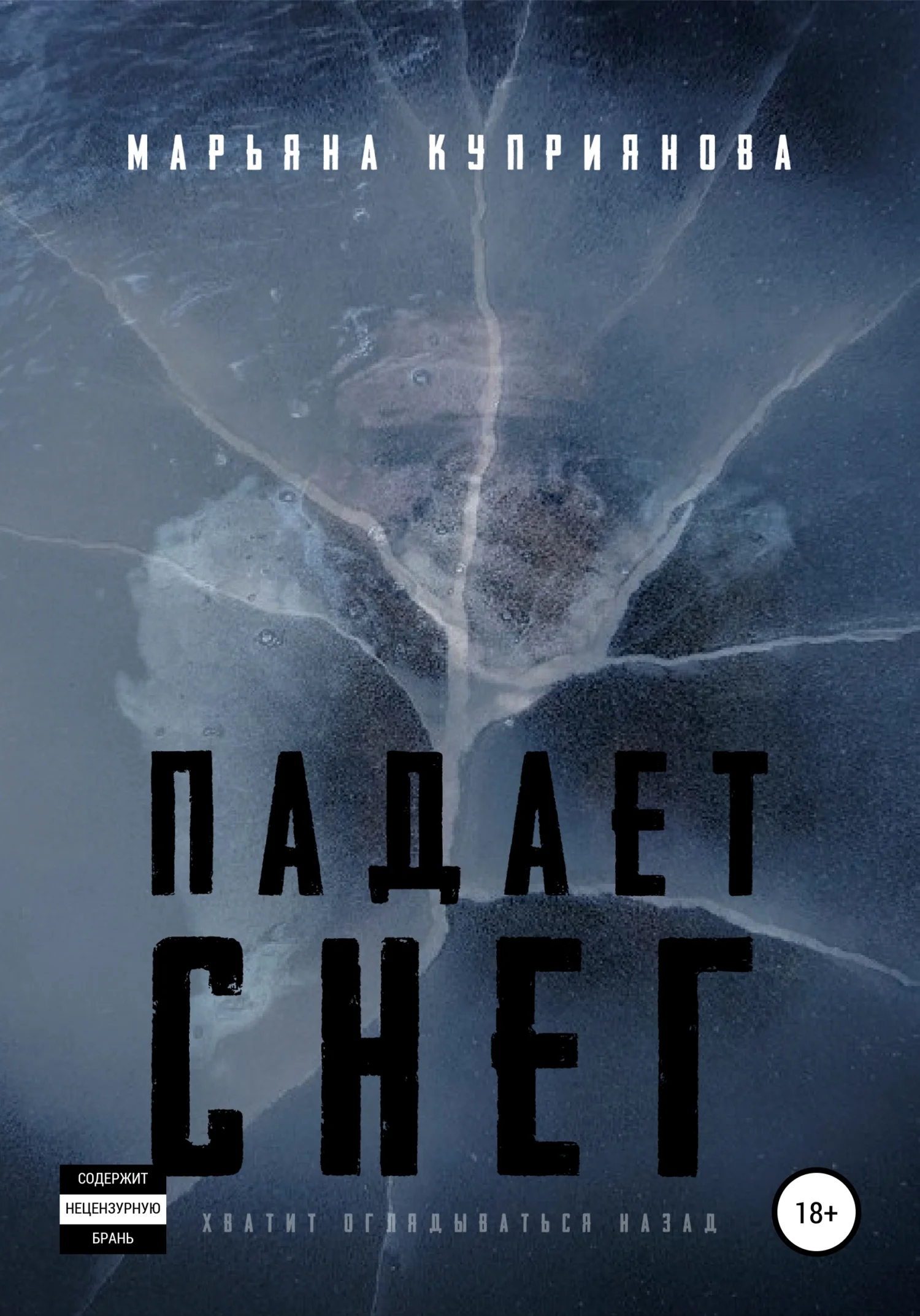 Обложка Падает снег